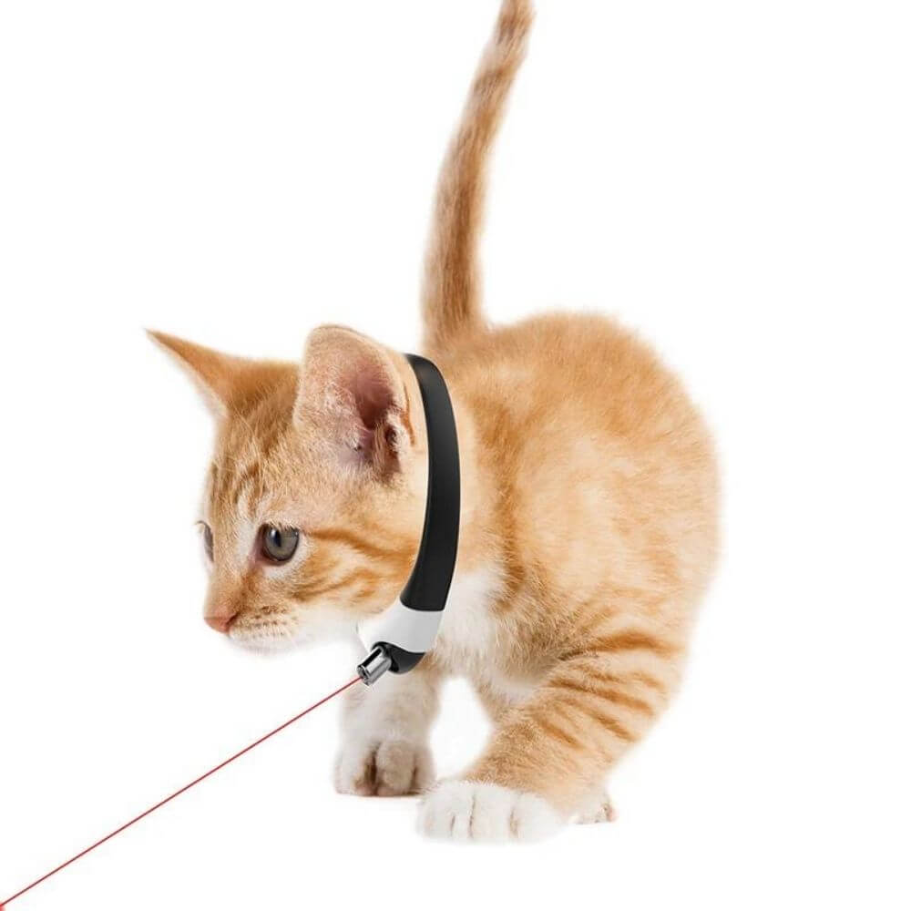 PurrPursuit™ Laser Cat Collar