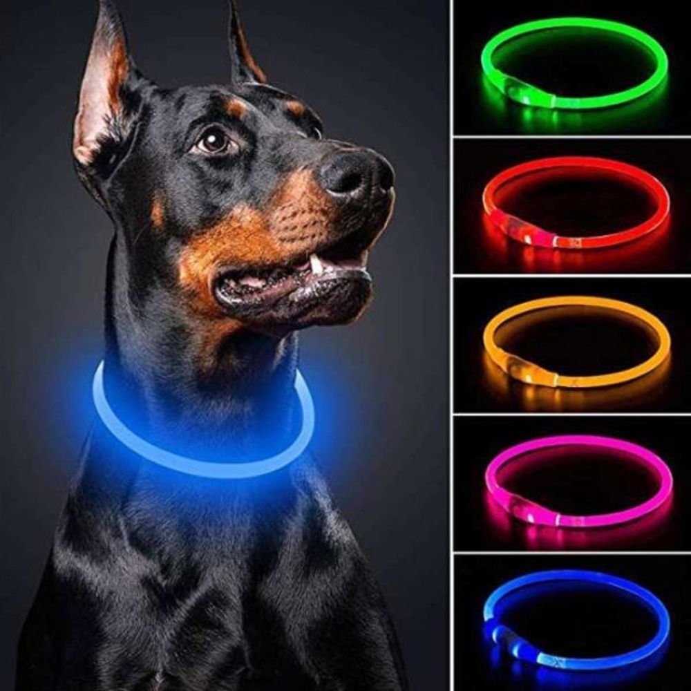 Glow Guardian™ Rechargeable LED Dog Collar