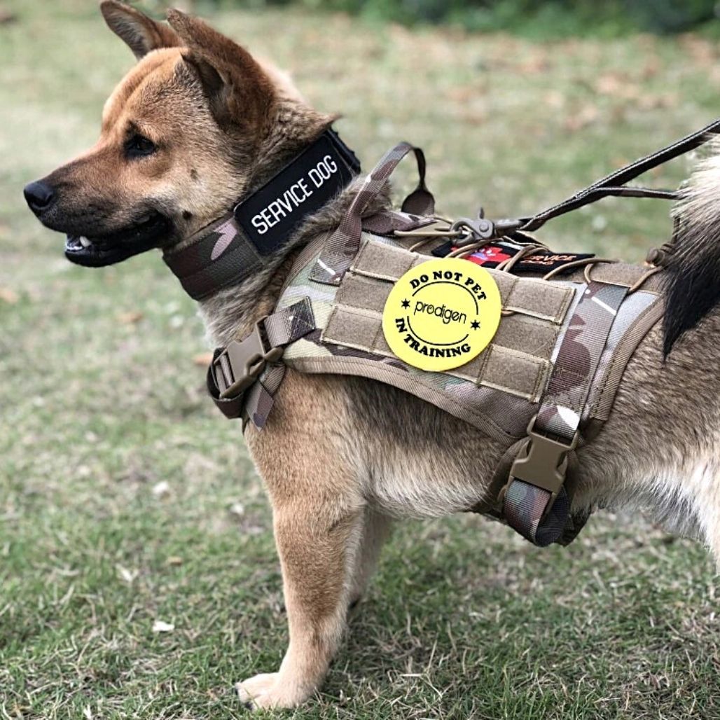 Tactical Safety Dog Harness