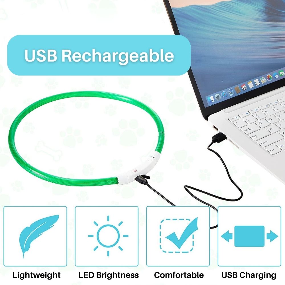 Glow Guardian™ Rechargeable LED Dog Collar