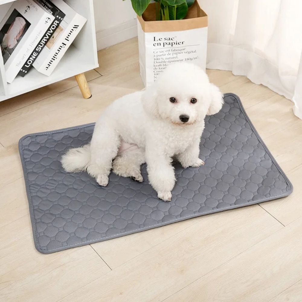 Potty Pal™ Reusable Pet Pads