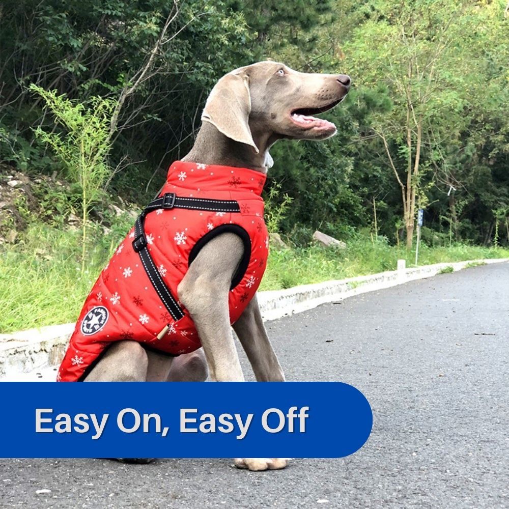 CanineGuard™ 3-in-1 Dog Jacket