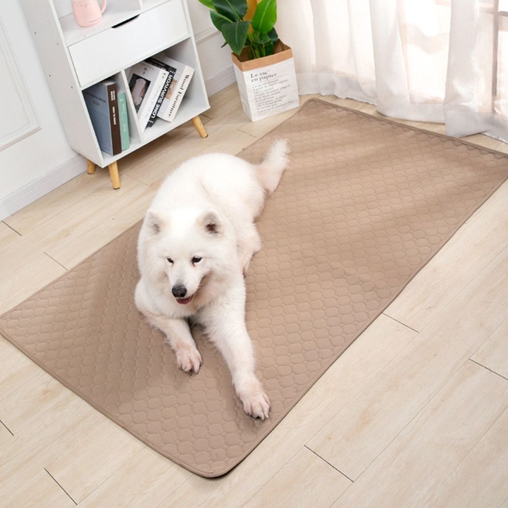 Potty Pal™ Reusable Pet Pads