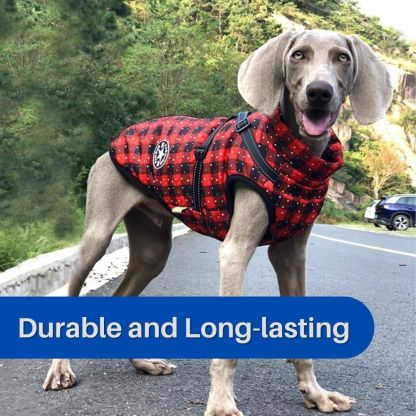 CanineGuard™ 3-in-1 Dog Jacket