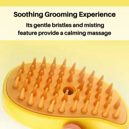 PurrSpa™ Nano Mist Cat Brush Offer