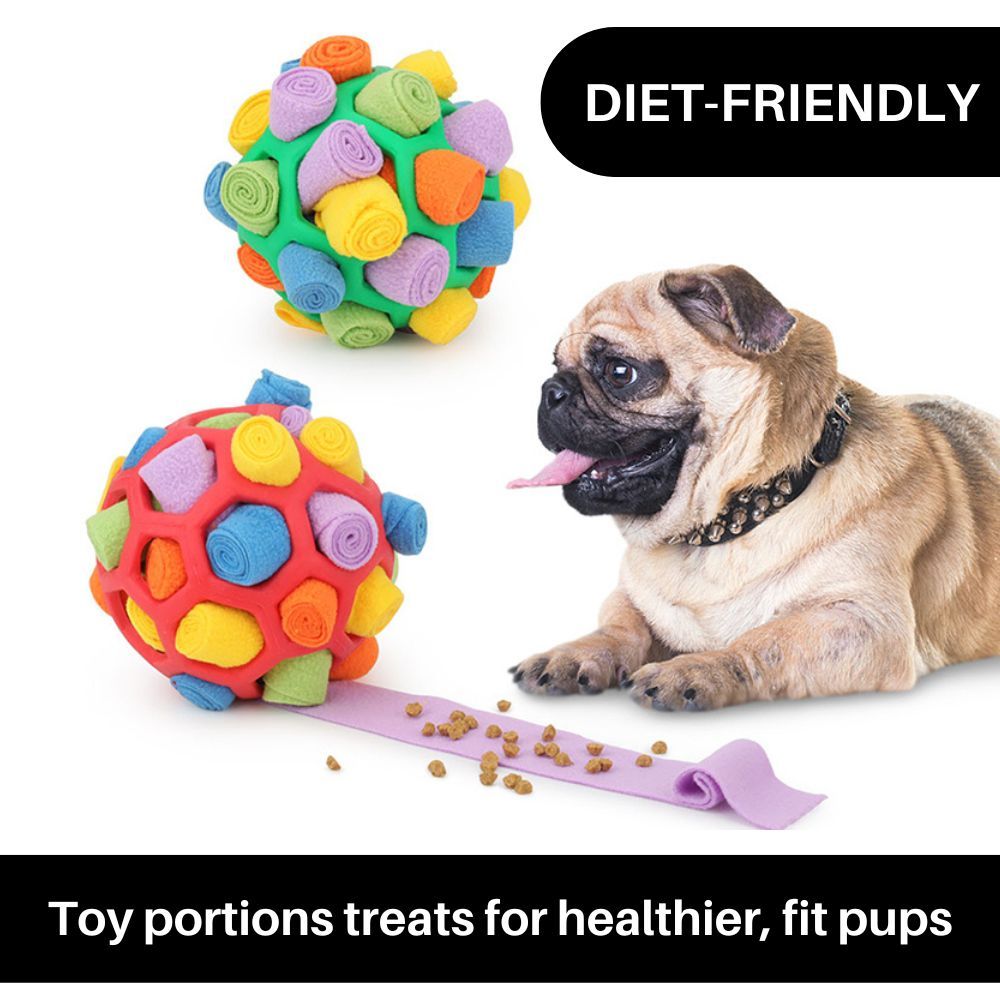 PupWhiz™ Snuffle Ball