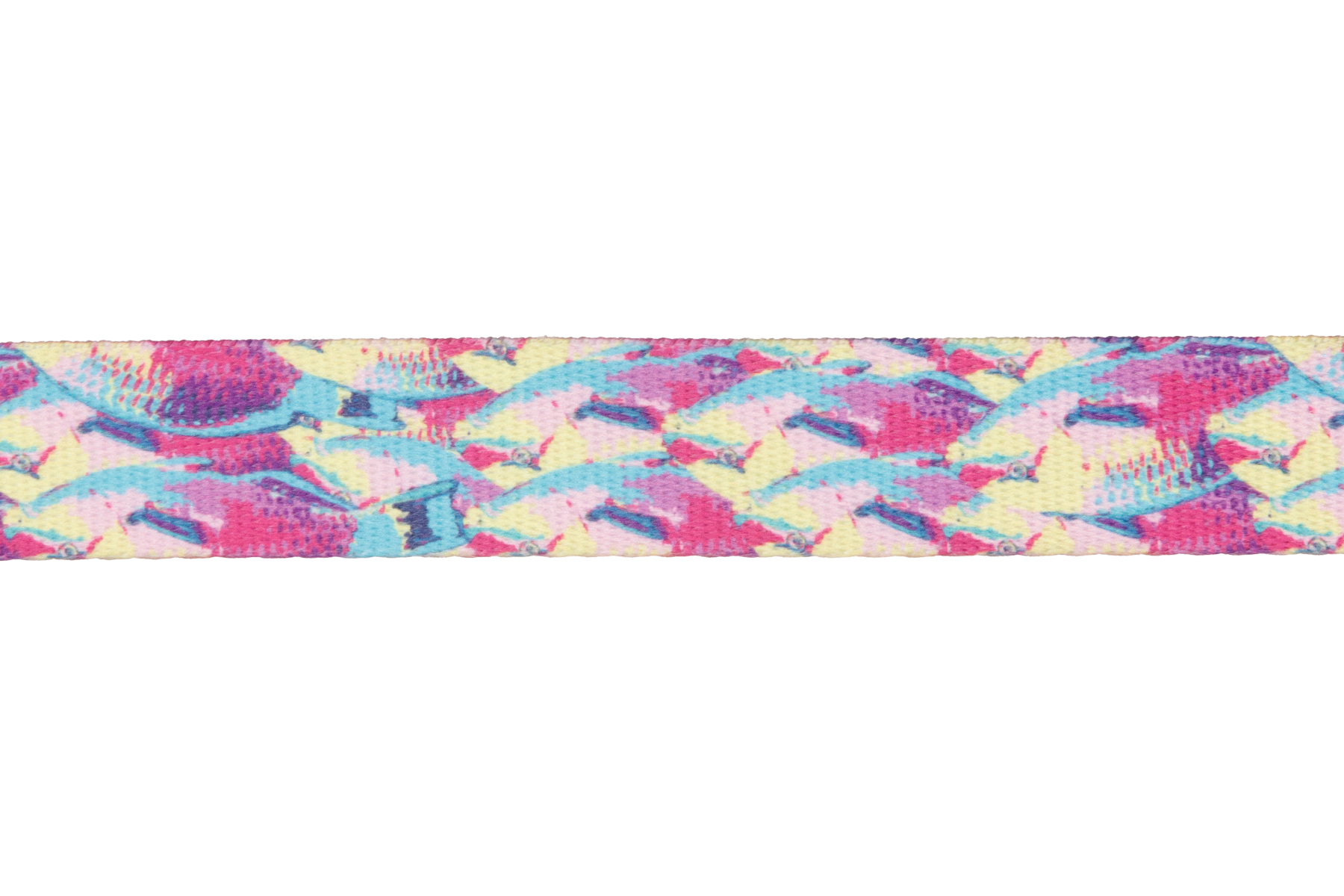 Front Range™ Dog Collar