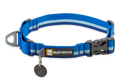 Web Reaction™ Martingale Dog Collar With Buckle