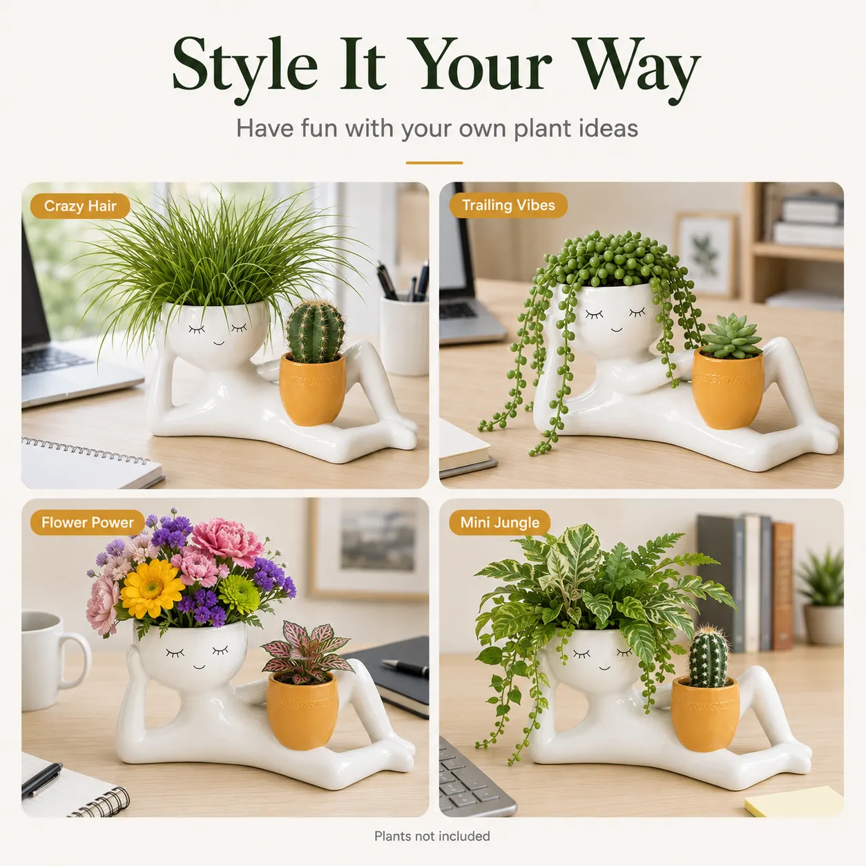 Customizable Desk Planter with Different Plants
