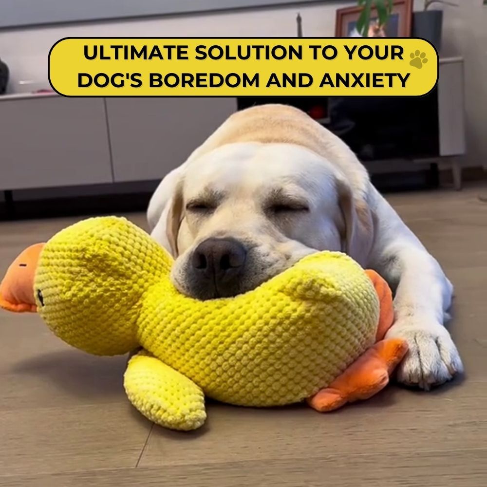 QuackPal™ Calming Duck