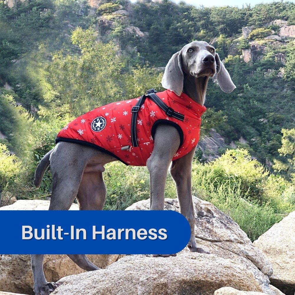 CanineGuard™ 3-in-1 Dog Jacket