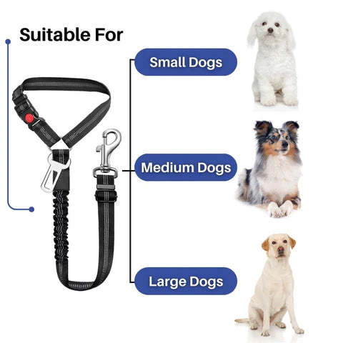 TravelBuddy™ 3-in-1 Dog Seat Belt and Leash