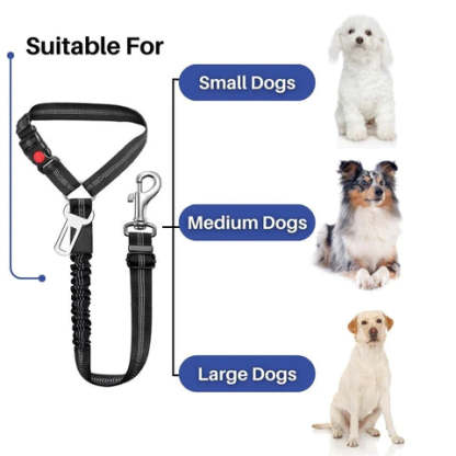 TravelBuddy™ 3-in-1 Dog Seat Belt and Leash