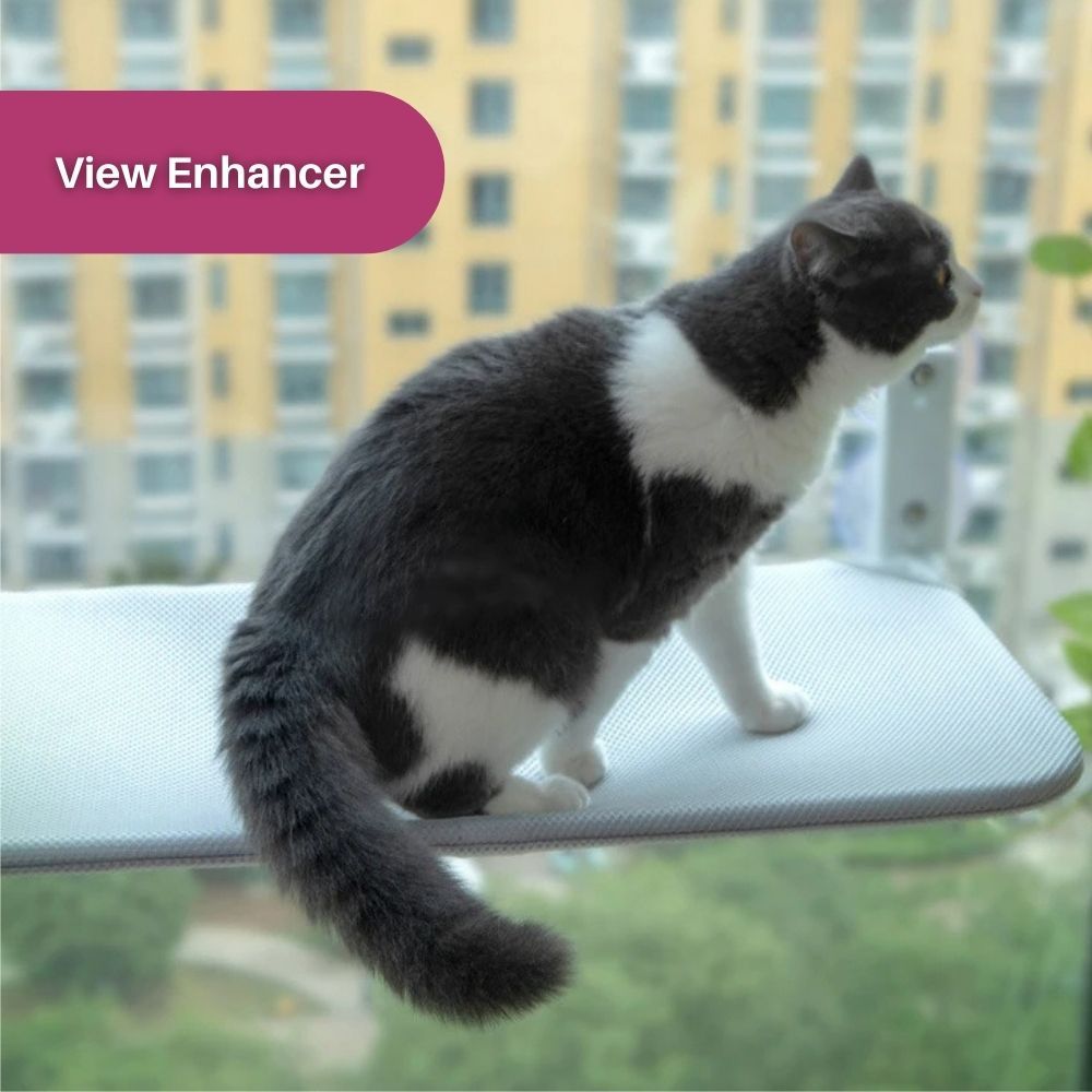 CatPerch™ Foldable Cat Hammock