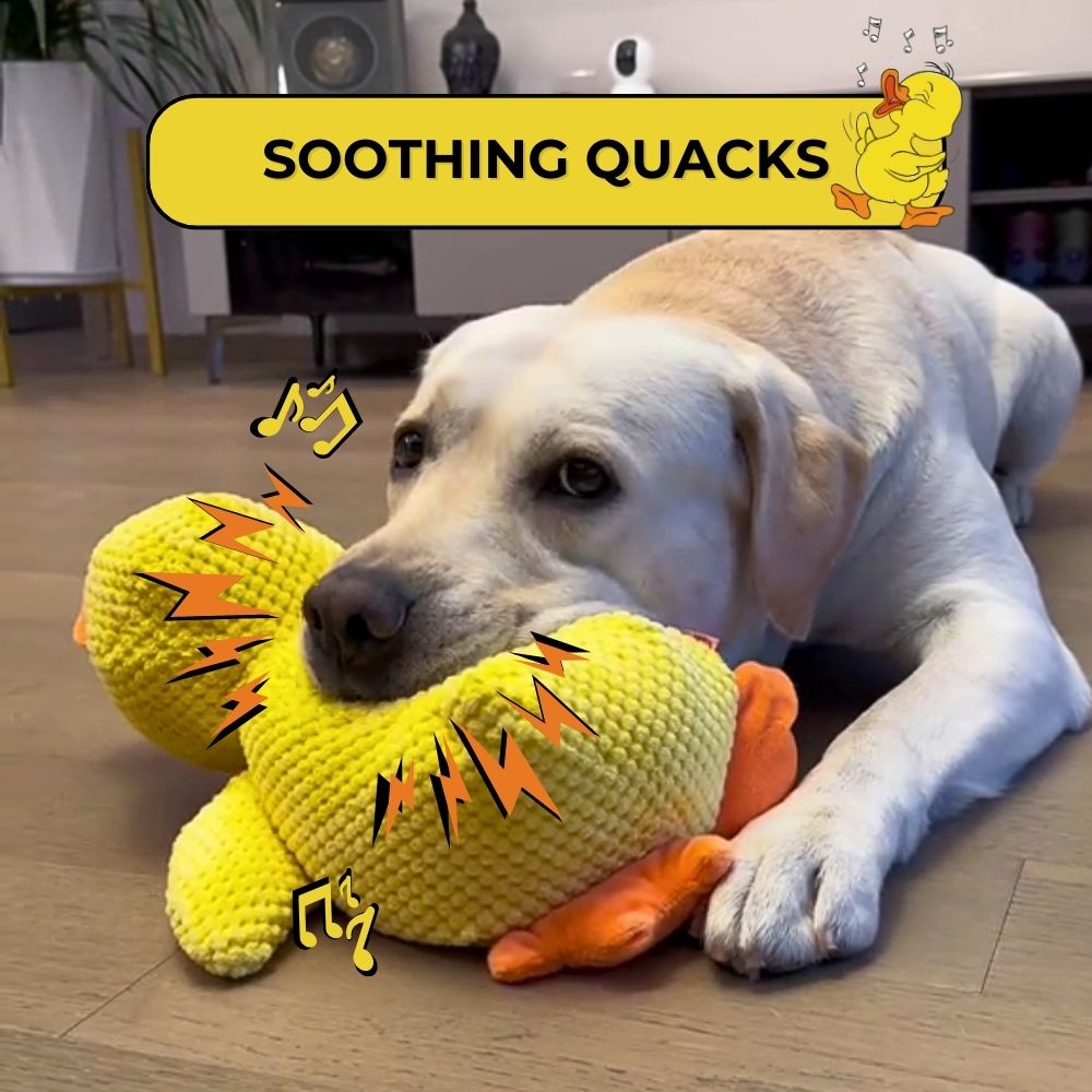 QuackPal™ Calming Duck