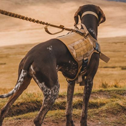 Control Companion Pro™ Tactical Dog Harness