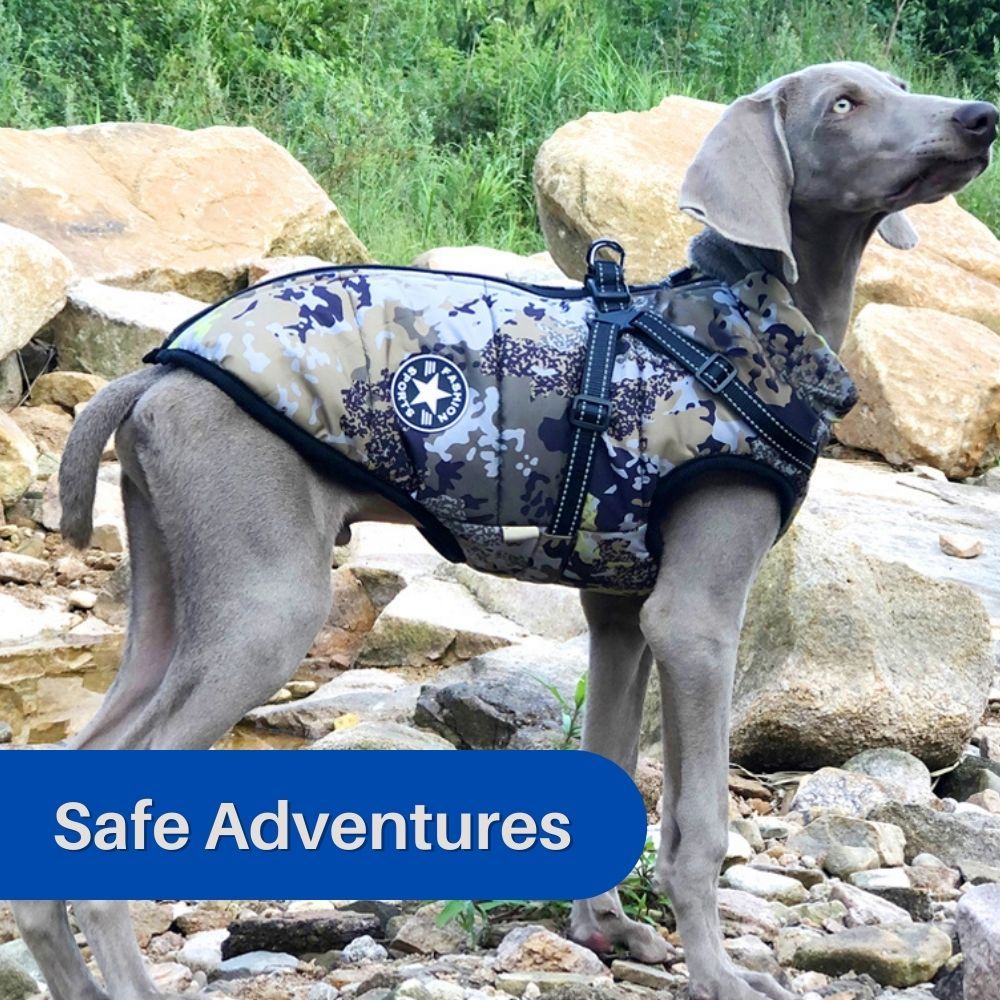 CanineGuard™ 3-in-1 Dog Jacket