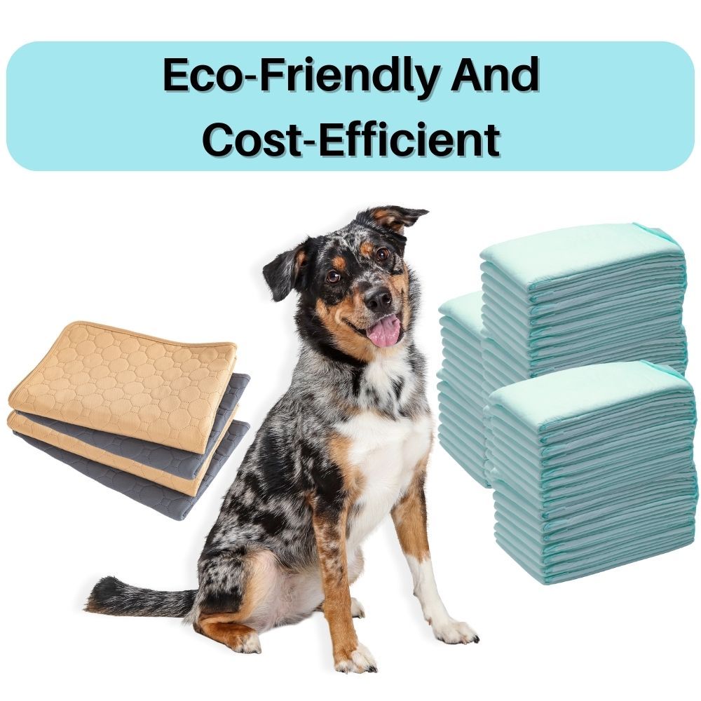 Potty Pal™ Reusable Pet Pads