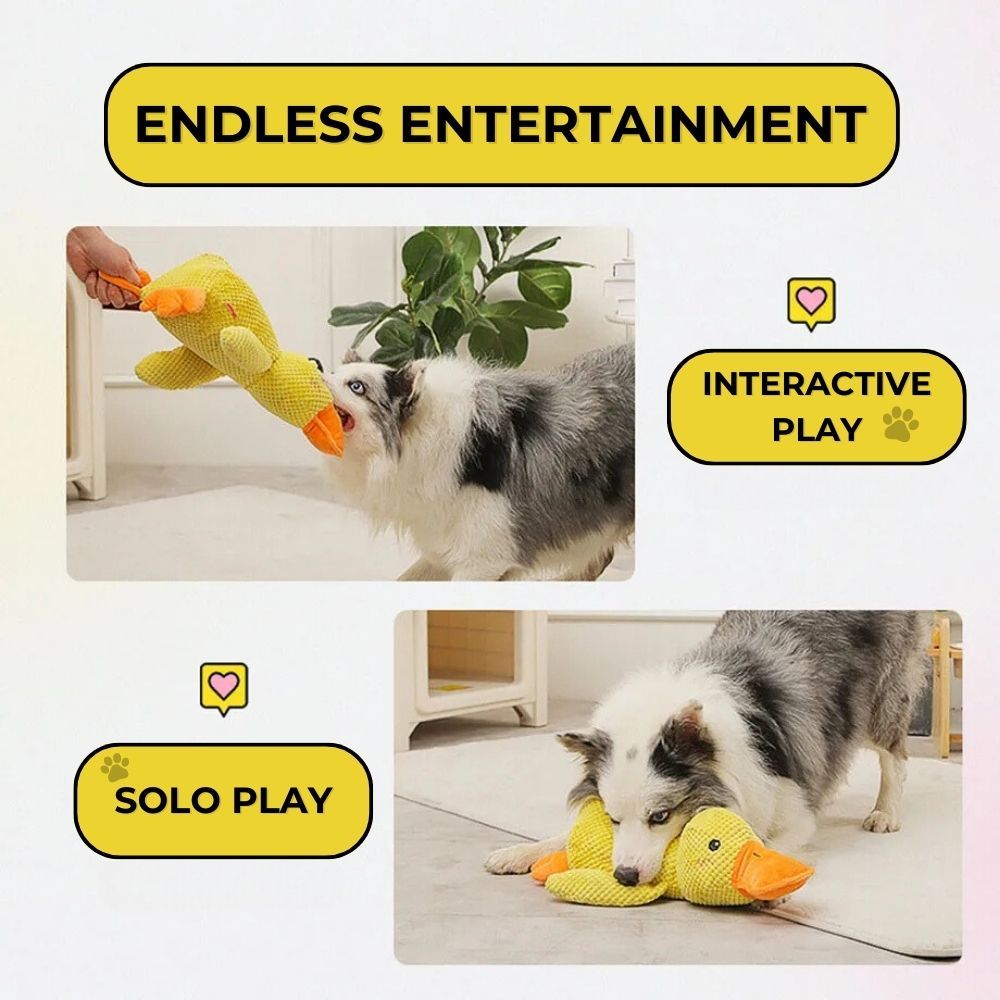 QuackPal™ Calming Duck