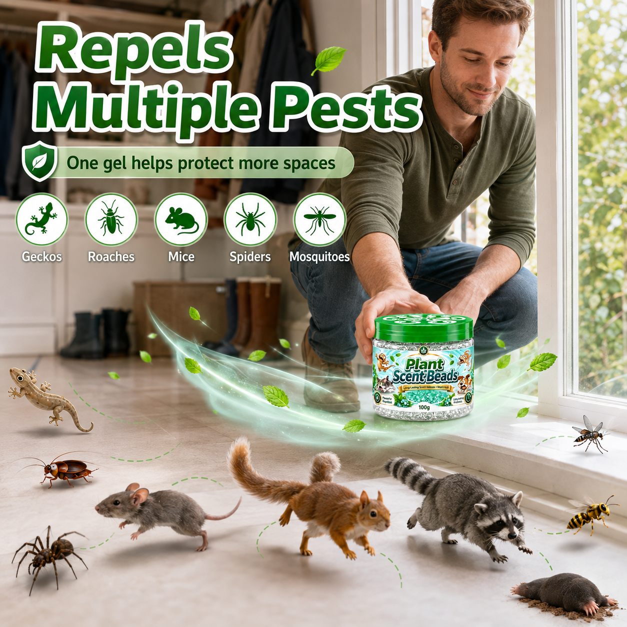 Multi-pest mint deterrent for geckos insects and mice