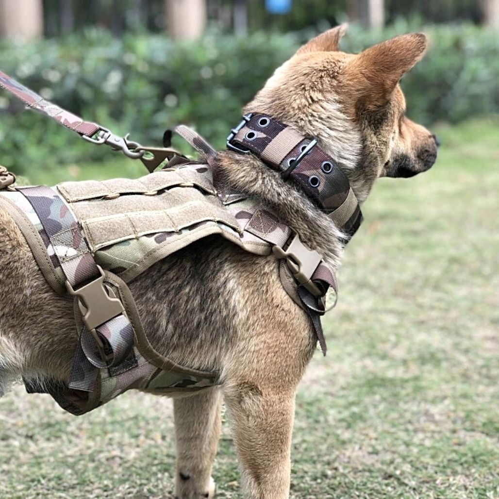 Tactical Safety Dog Harness