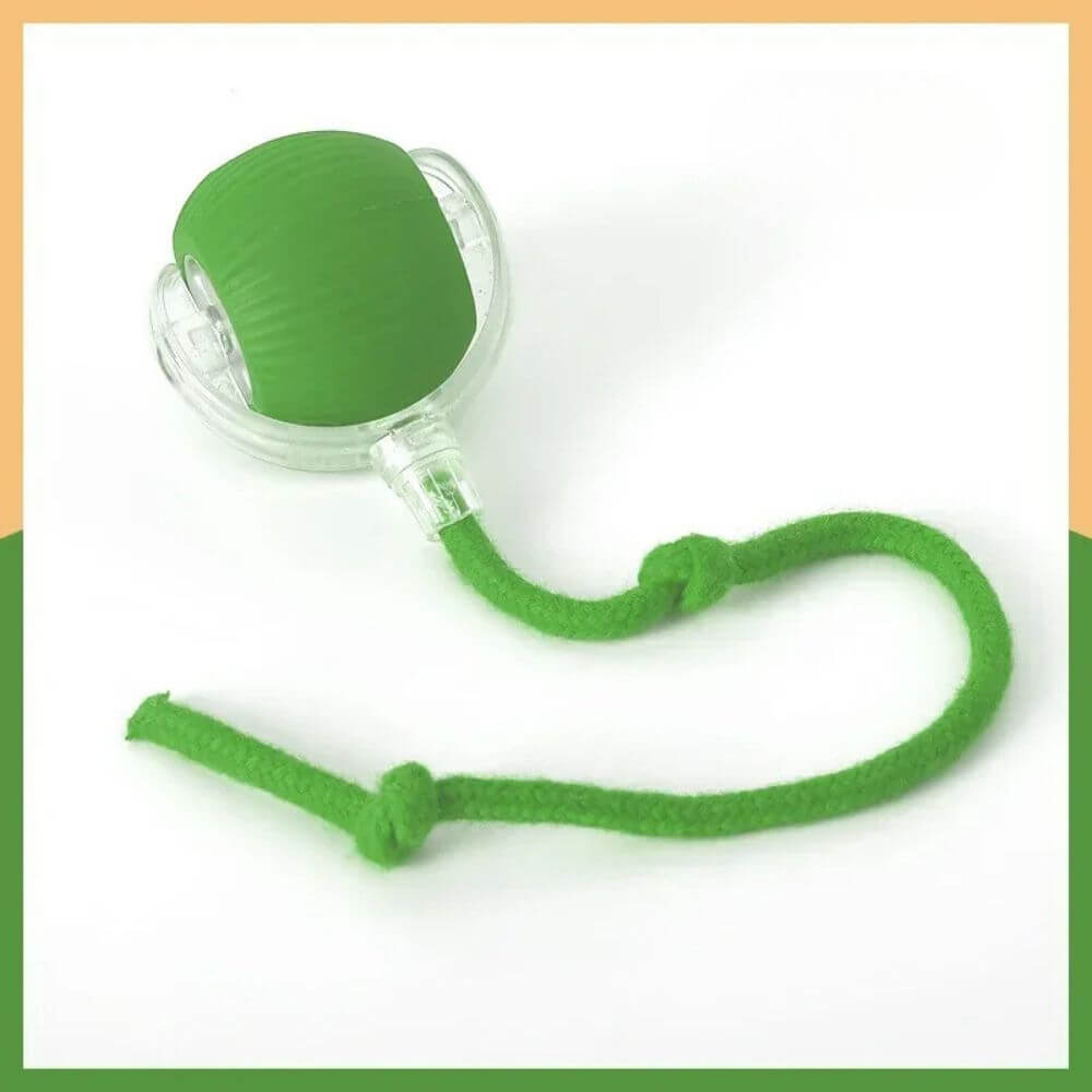 PouncePlay™ Smart Active Cat Toy