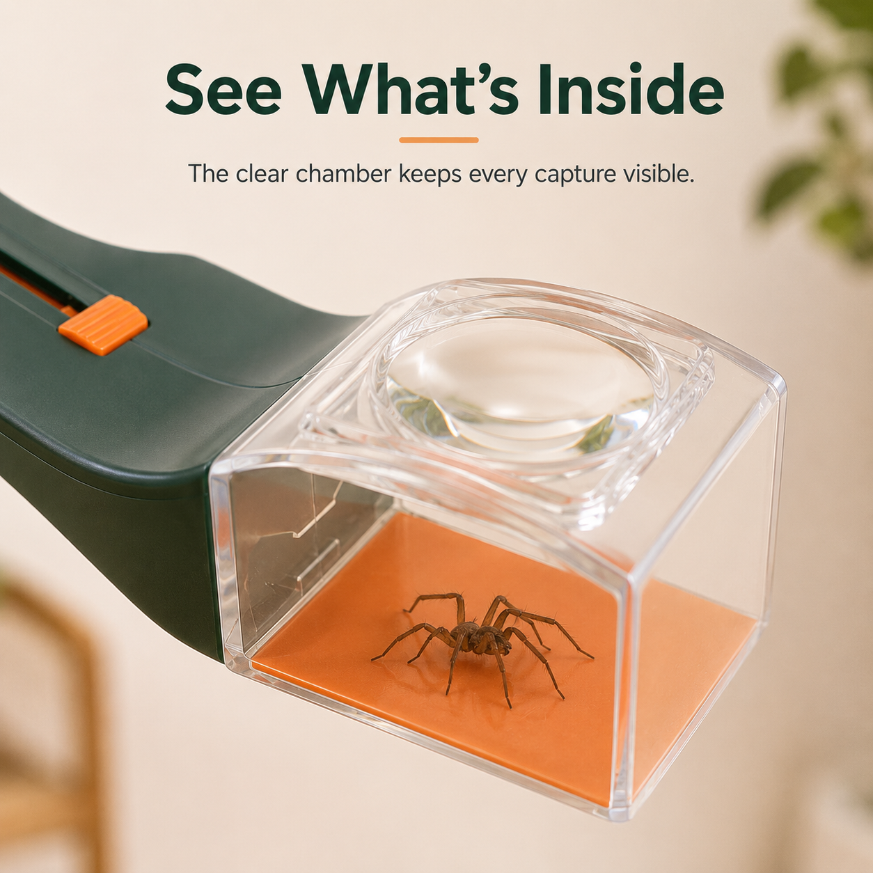 Step 1 positioning clear chamber over bug