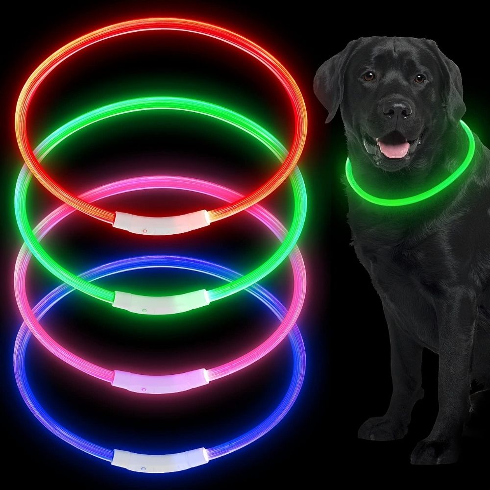 Glow Guardian™ Rechargeable LED Dog Collar