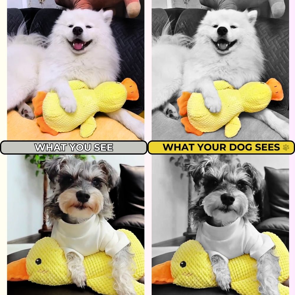 QuackPal™ Calming Duck