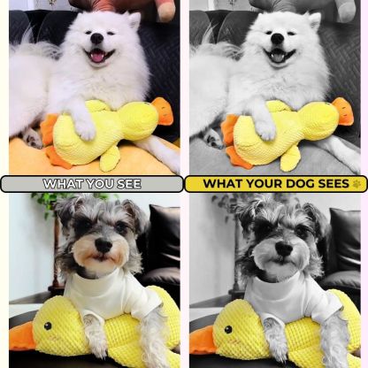 QuackPal™ Calming Duck