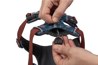 Used - Front Range® Dog Harness - Desert Sunrise