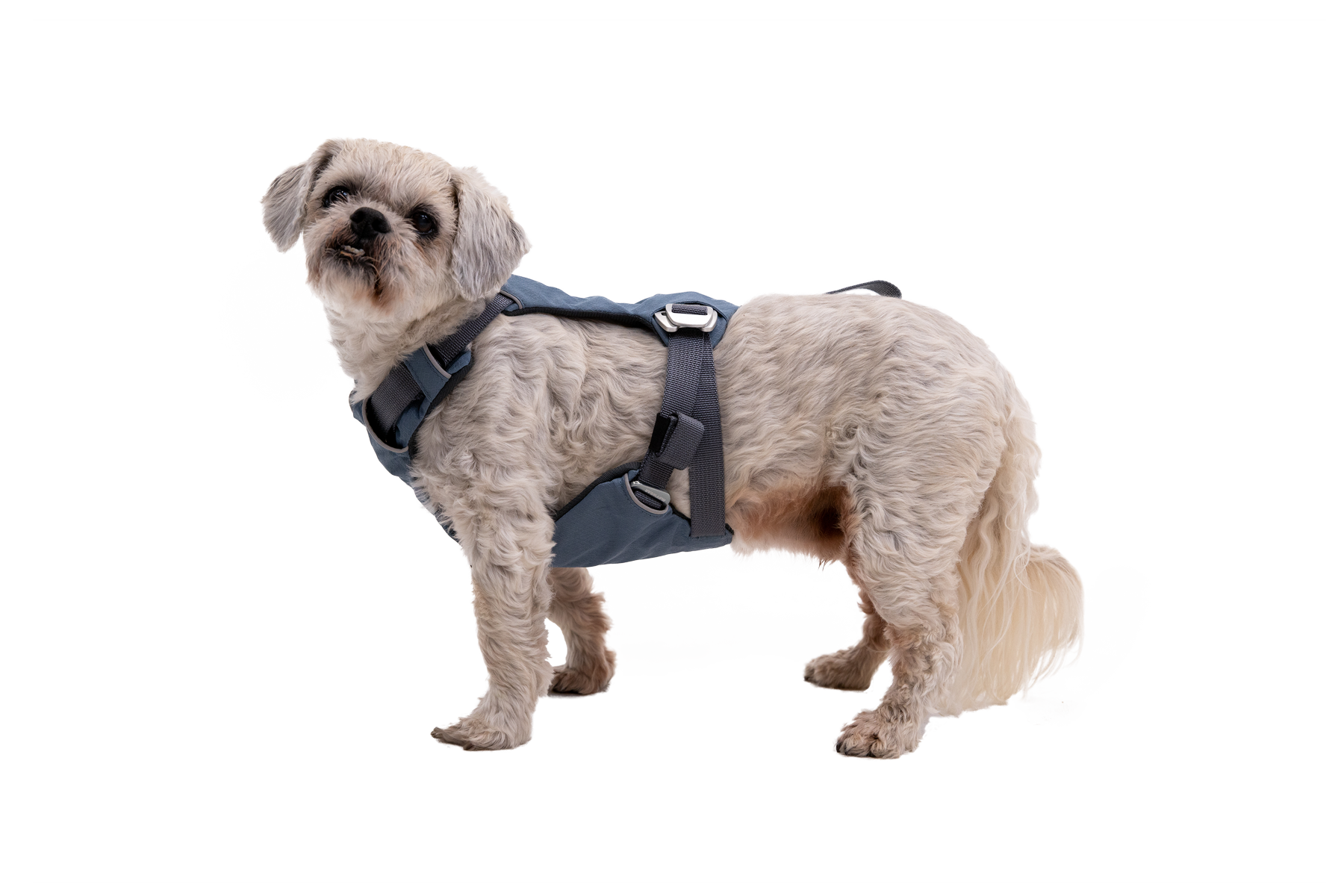 Load Up™ Dog Car Harness