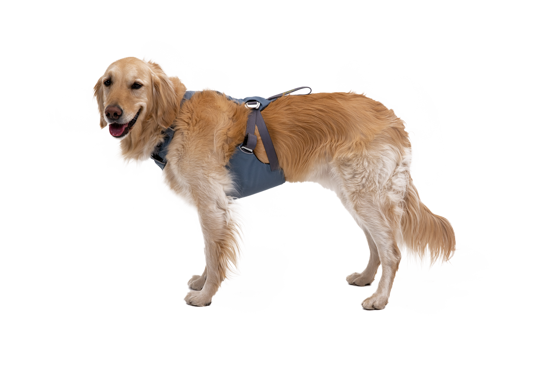 Load Up™ Dog Car Harness