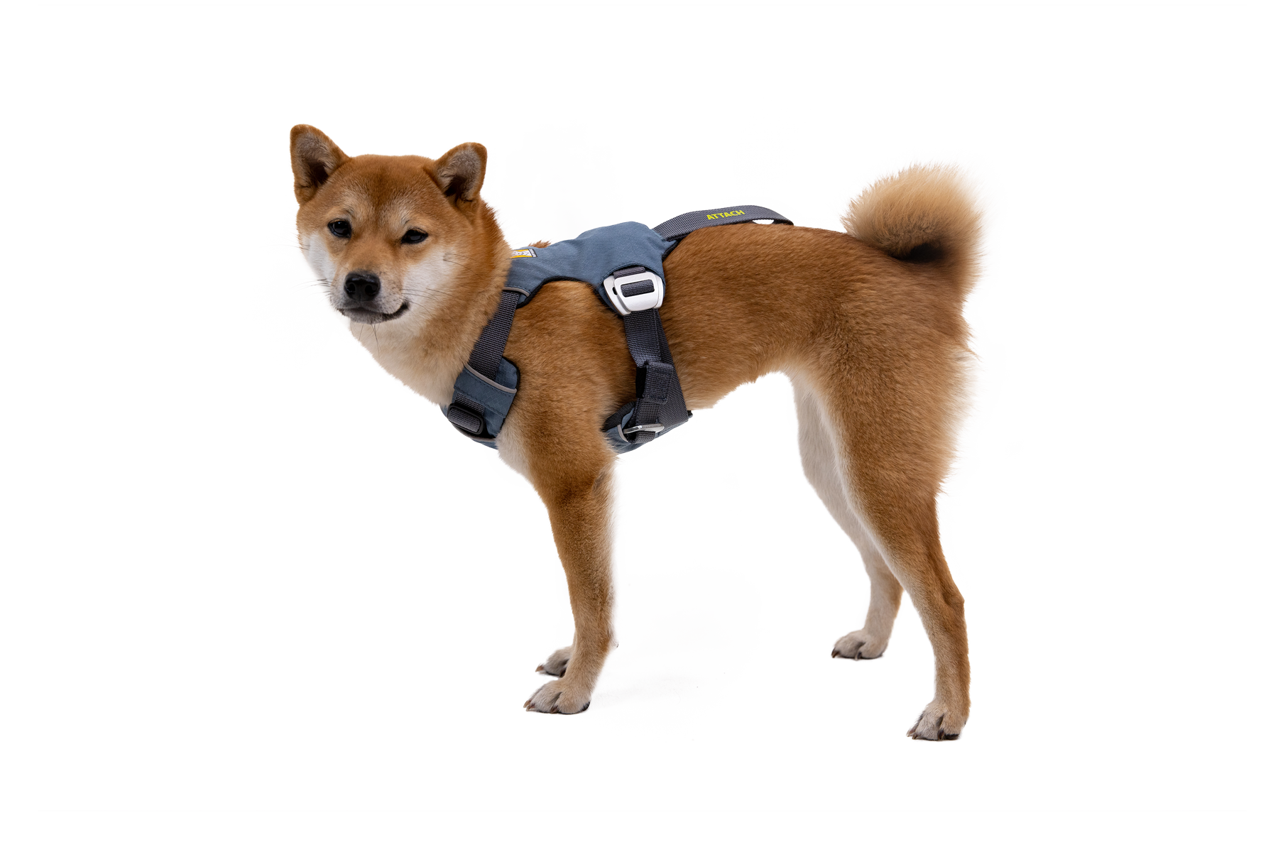 Load Up™ Dog Car Harness