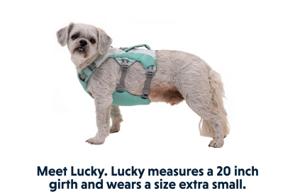 Swamp Cooler™ Dog Cooling Harness
