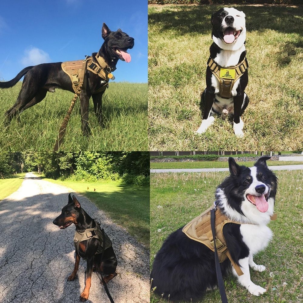 Control Companion Pro™ Tactical Dog Harness