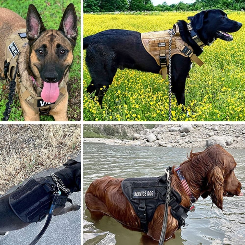 Control Companion Pro™ Tactical Dog Harness