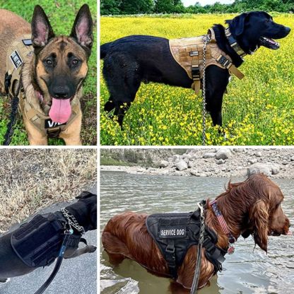 Control Companion Pro™ Tactical Dog Harness