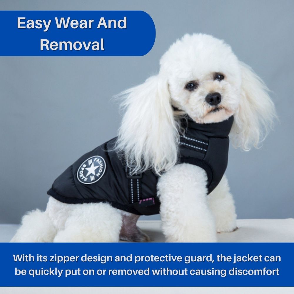 CanineGuard™ 3-in-1 Dog Jacket