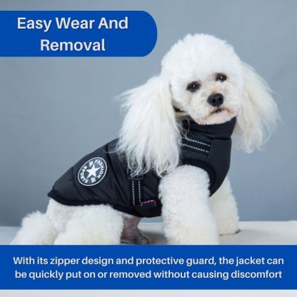 CanineGuard™ 3-in-1 Dog Jacket