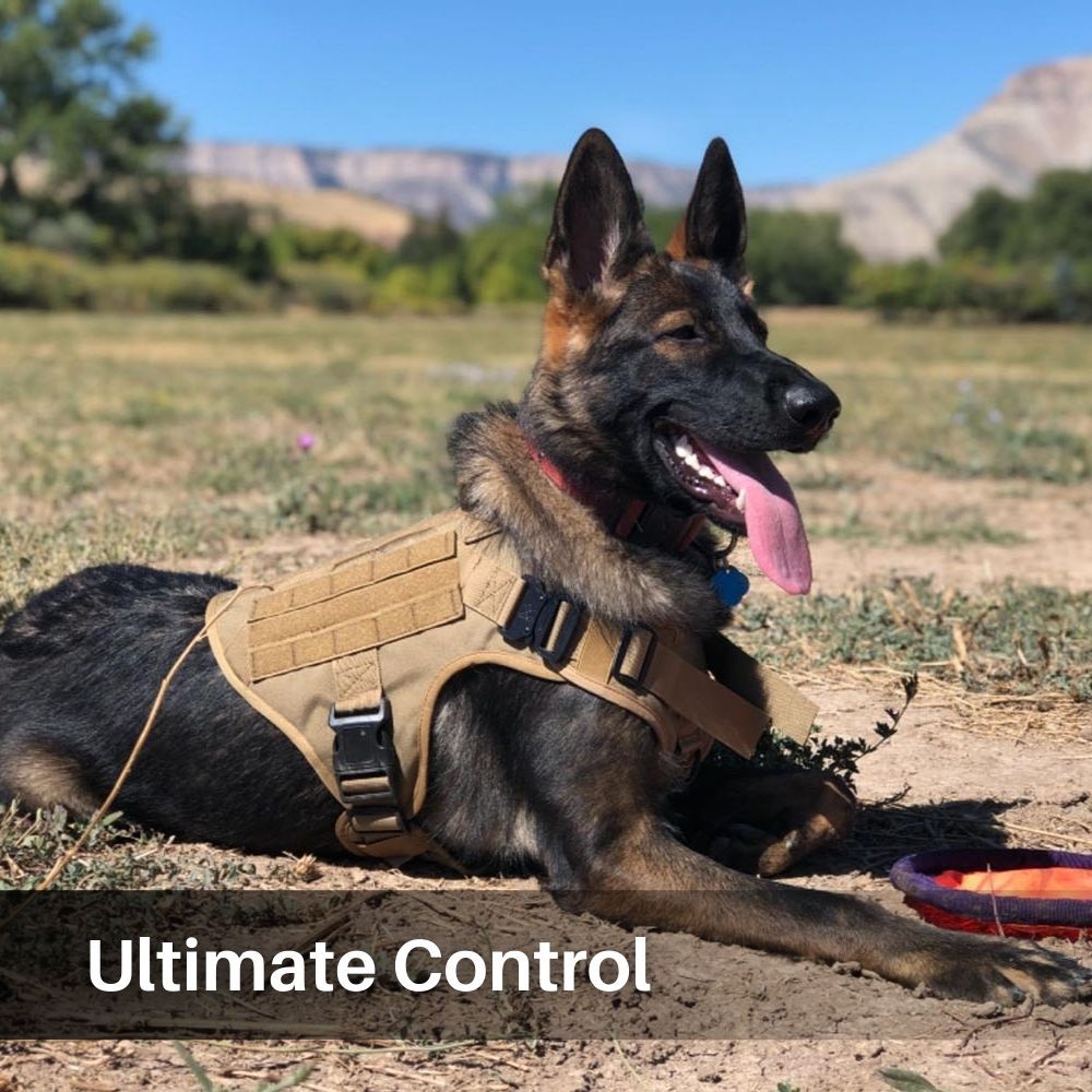 Control Companion Pro™ Tactical Dog Harness