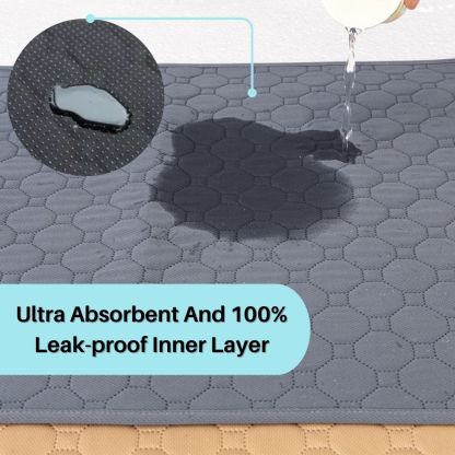 Potty Pal™ Reusable Pet Pads