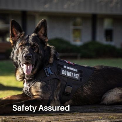 Control Companion Pro™ Tactical Dog Harness