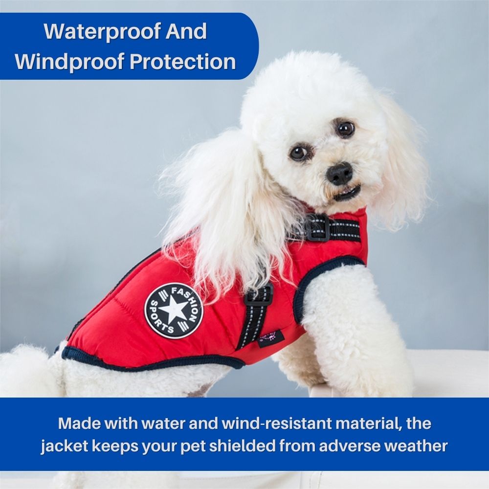 CanineGuard™ 3-in-1 Dog Jacket