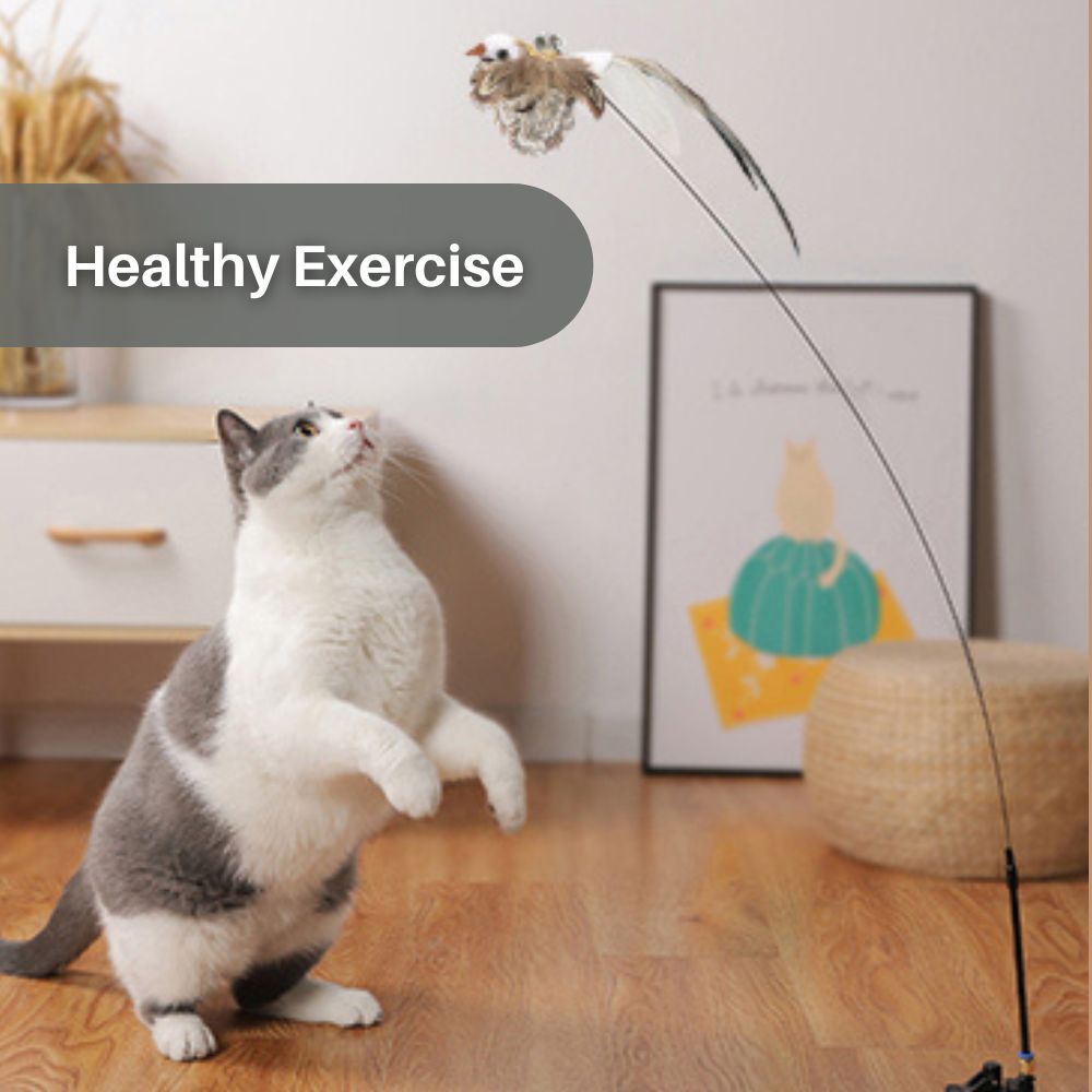 Feather Frenzy™ Interactive Cat Toy