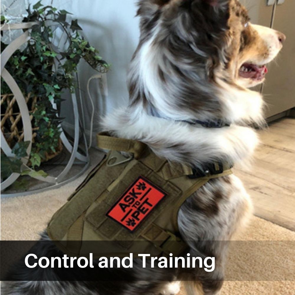 Control Companion Pro™ Tactical Dog Harness