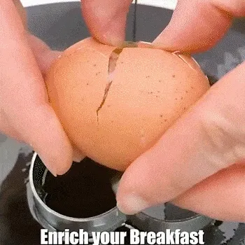 Fun shaped breakfast prepared with egg molds