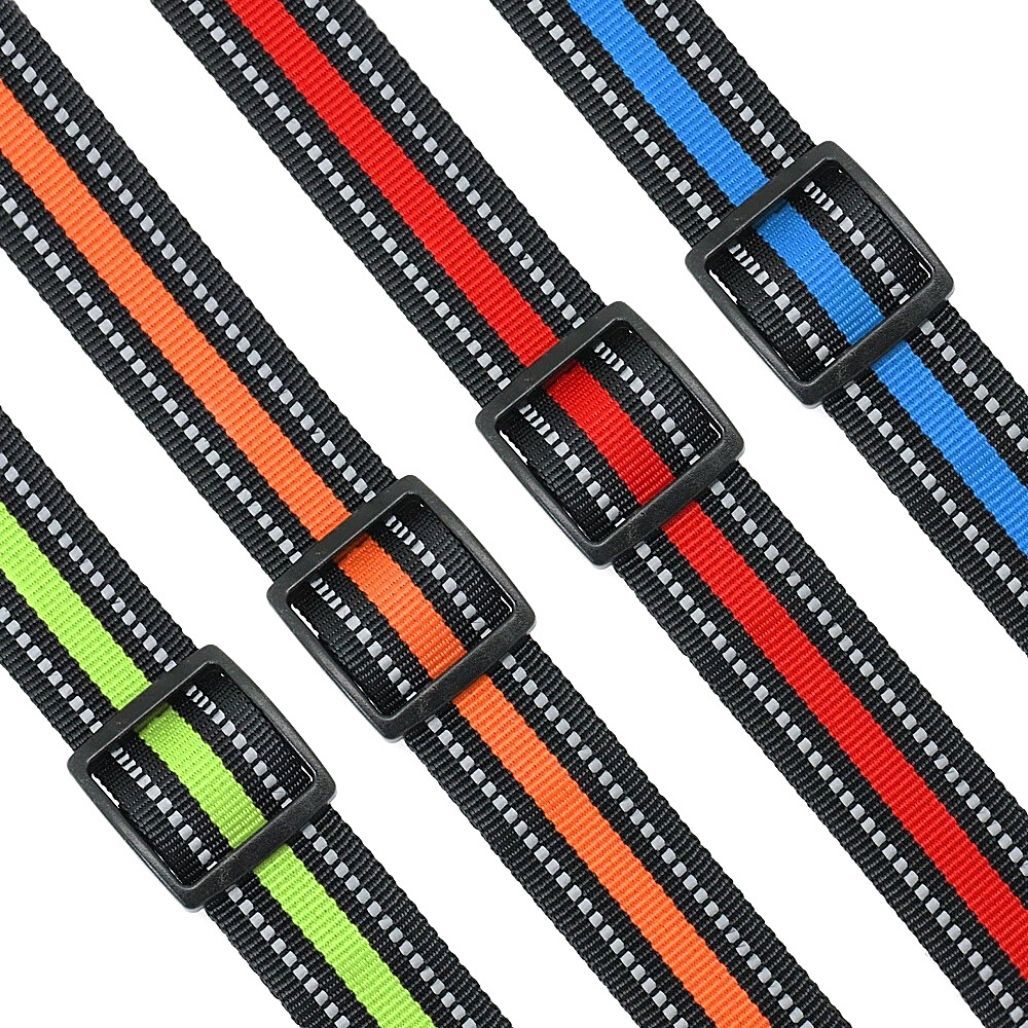 Personalized Safe-At-Night Dog Collar