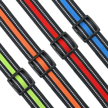 Personalized Safe-At-Night Dog Collar