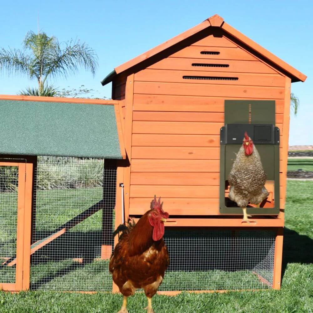 ChickGuard Pro™ Automatic Chicken House Door